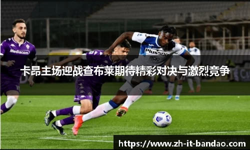 半岛体育全站入口
