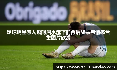 半岛体育官方网