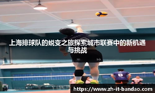 上海排球队的蜕变之旅探索城市联赛中的新机遇与挑战