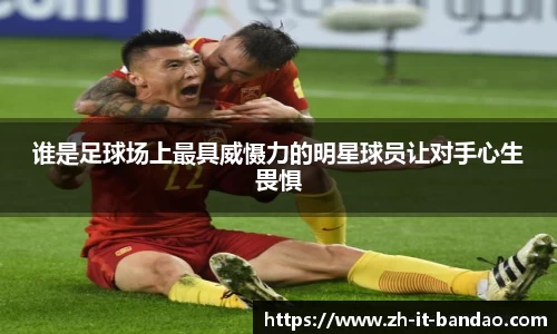 半岛体育官方网