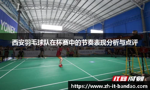 半岛体育官方网